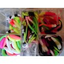 Barsch und Forellenbox